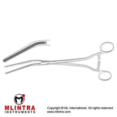Dick Atrauma Vaginal Clamp Angled Stainless Steel, 27.5 cm - 10 3/4"